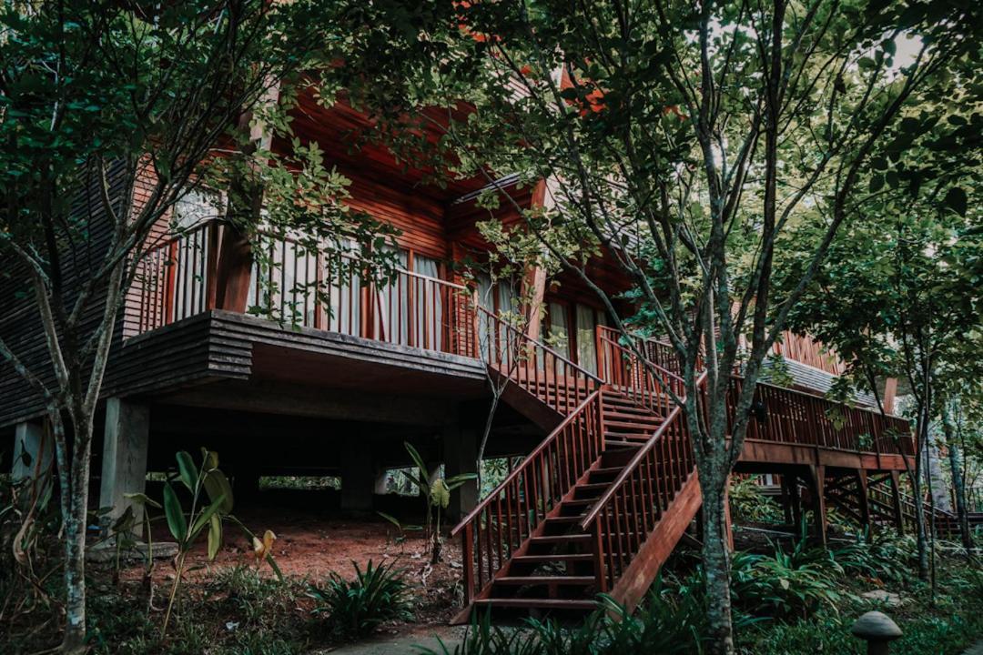 Hotel De Foret Elephant Beach Zewnętrze zdjęcie